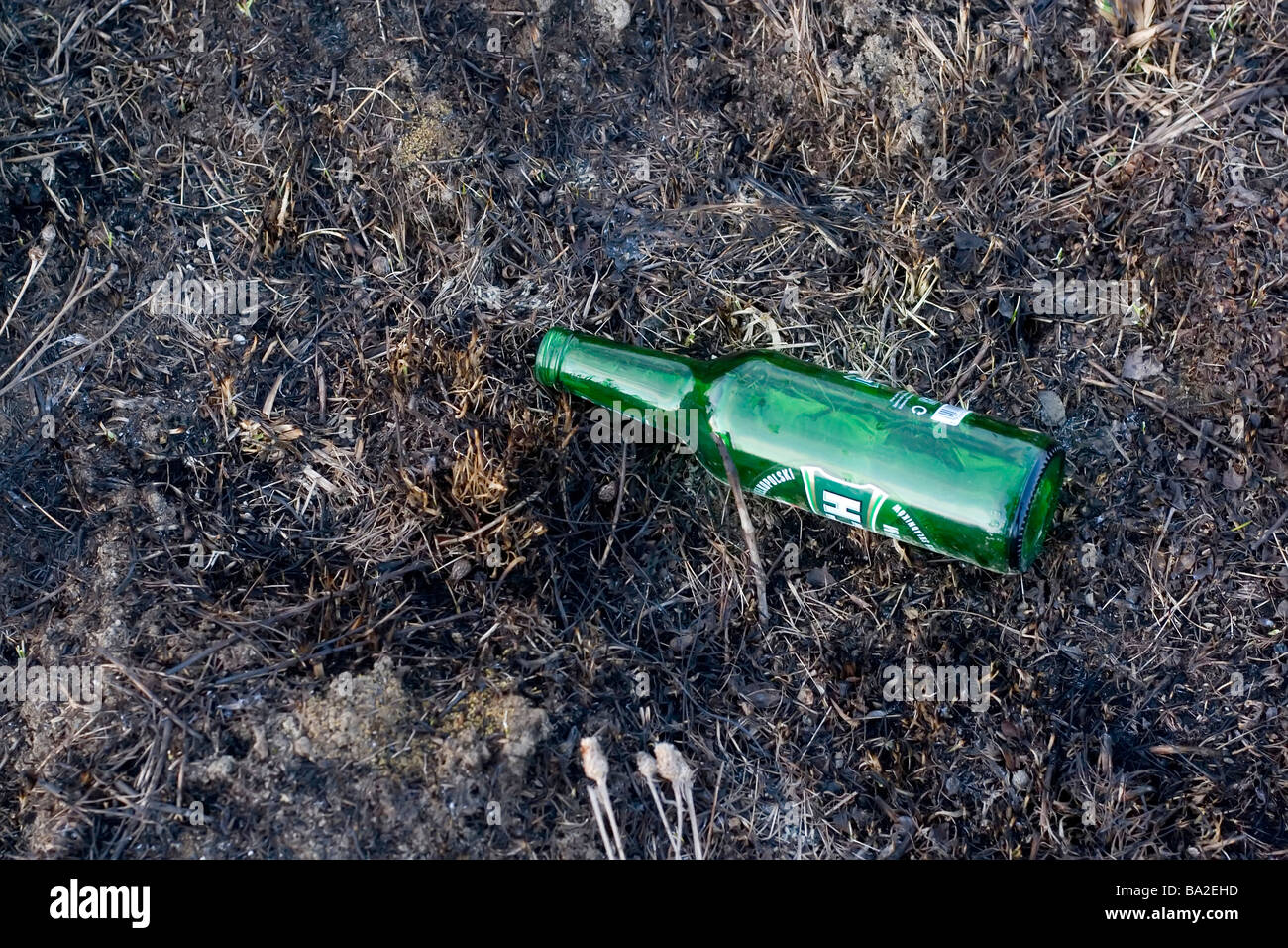 Vuoto bottiglia di birra giacente su erba bruciata Foto Stock