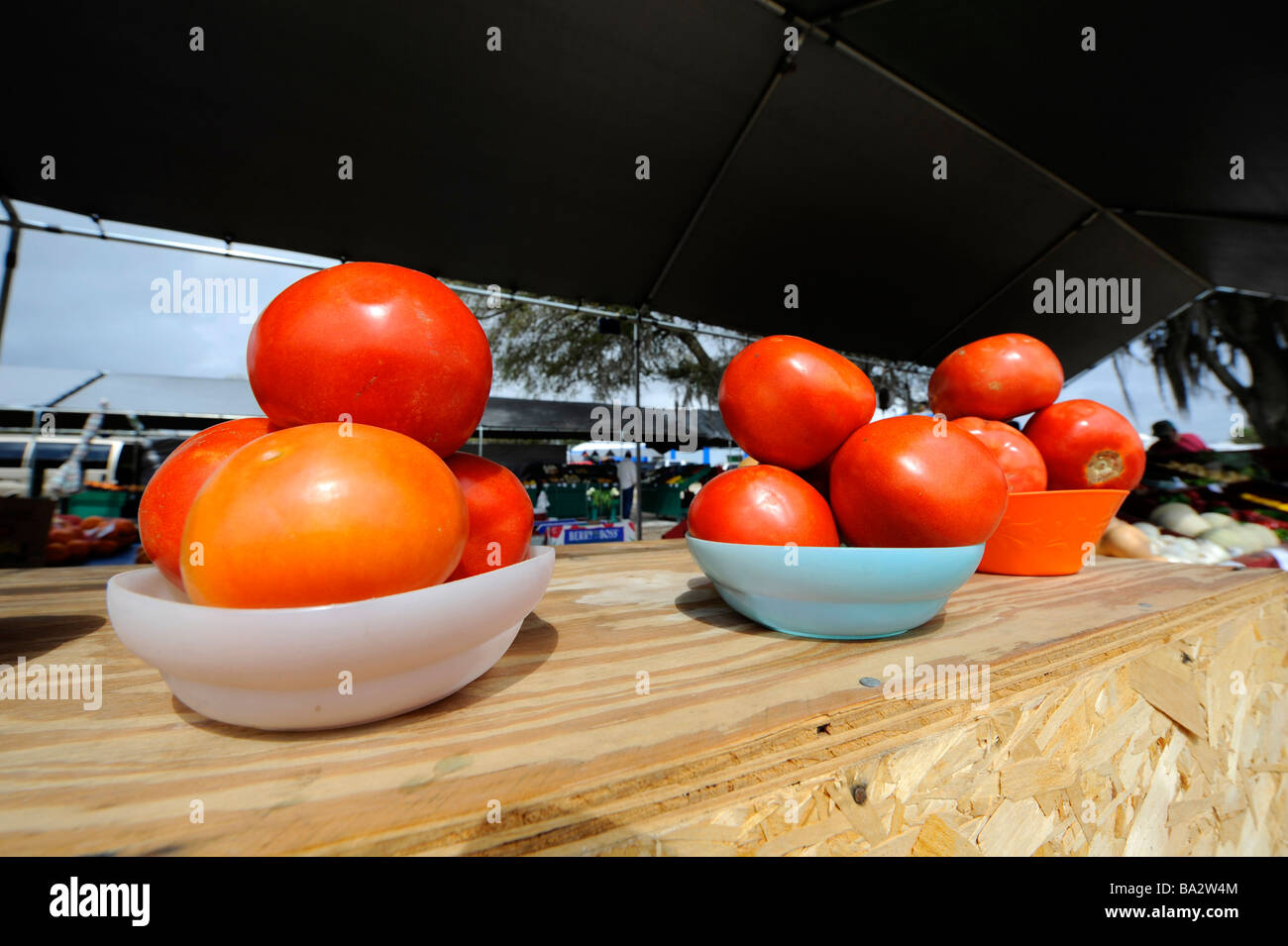 Pomodori rossi in cesti road side stand Florida Foto Stock