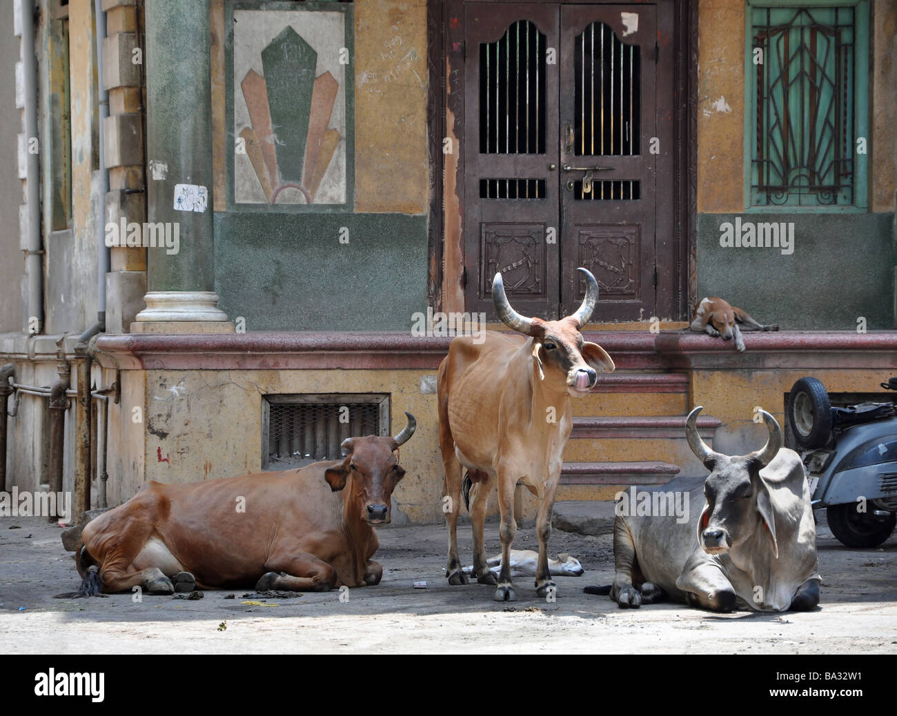 Amicizia in un Ahmedabad street Foto Stock