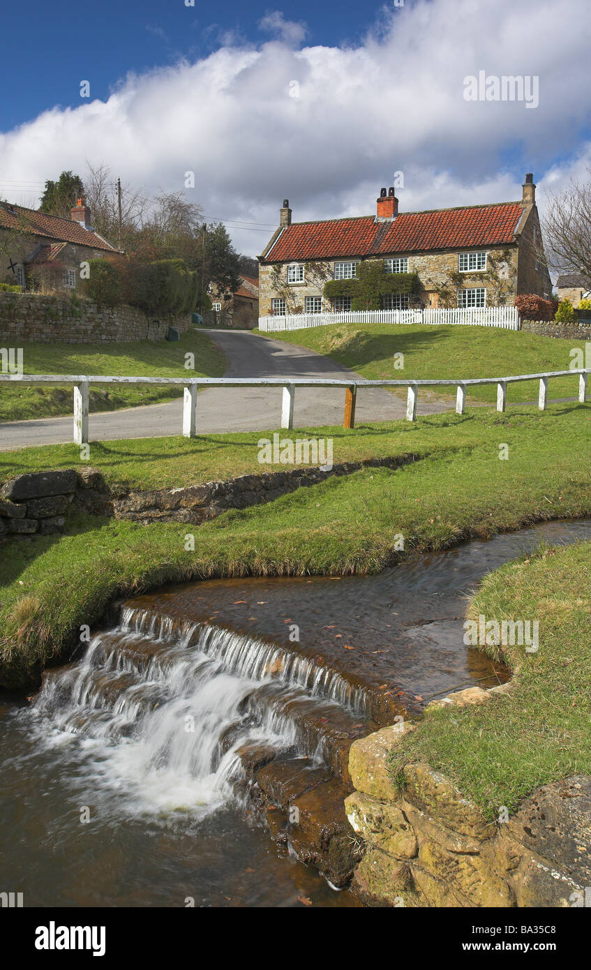 Hutton Beck flusso che scorre attraverso il pittoresco villaggio di Hutton Le Hole North York Moors National Park North Yorkshire Regno Unito Foto Stock