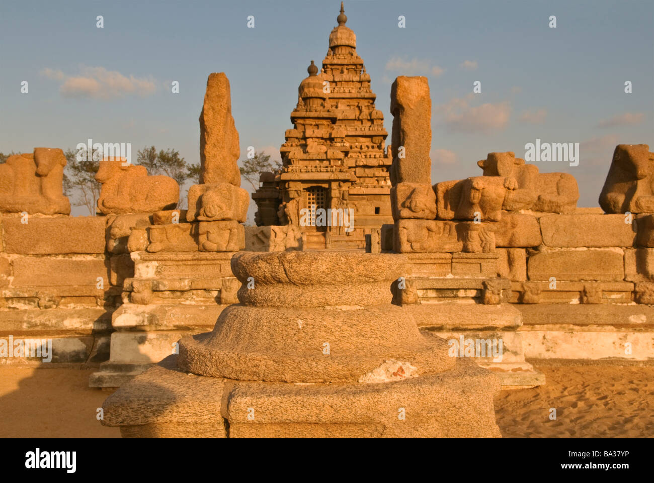 Tempio Shore Mahabalipuram Tamil Nadu India Foto Stock