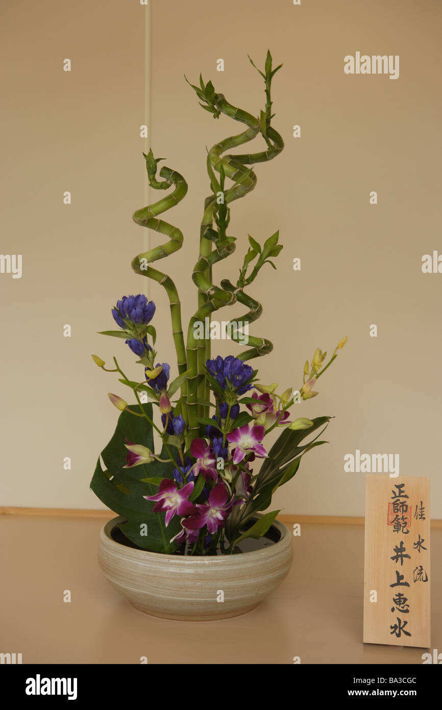 Abaodam Vaso Intrecciato In Bambù – Contenitore Rustico Per Fiori Secchi – Dimensioni 21,5x11x11 Cm – Decorazione Artigianale Per Soggiorno E Balcone - 4