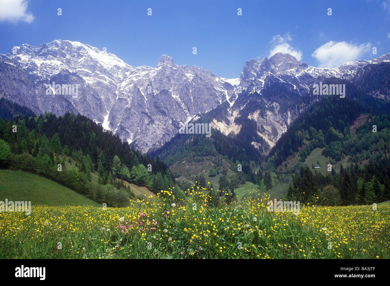 Il pittoresco paesaggio alpino nei pressi del villaggio di Leogang un popolare estate/inverno resort in Zell am See district Foto Stock