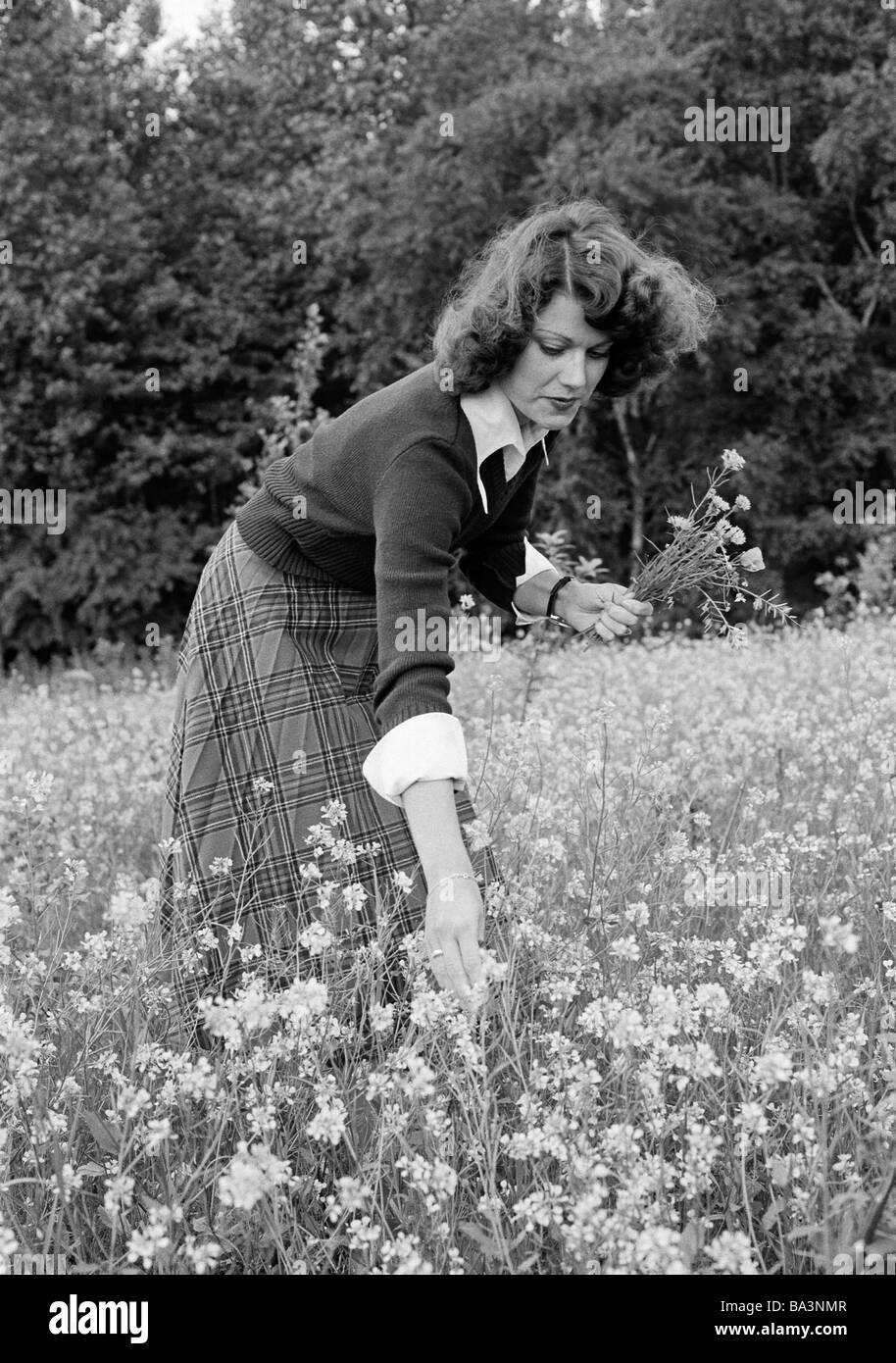Negli anni settanta, foto in bianco e nero, persone, giovane donna raccoglie fiori in un prato di fiori, di età compresa tra i 25 e i 30 anni, pulli, gonna, Betina Foto Stock
