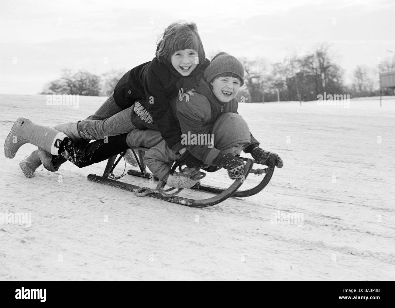 Negli anni settanta, foto in bianco e nero, inverno, meteo, neve bambini con bobsleds, boy, ragazza, di età compresa tra i 6 e i 10 anni, D-Dorsten, LIPPE, riserva naturale di Hohe Mark, la zona della Ruhr, Muensterland, Renania settentrionale-Vestfalia Foto Stock