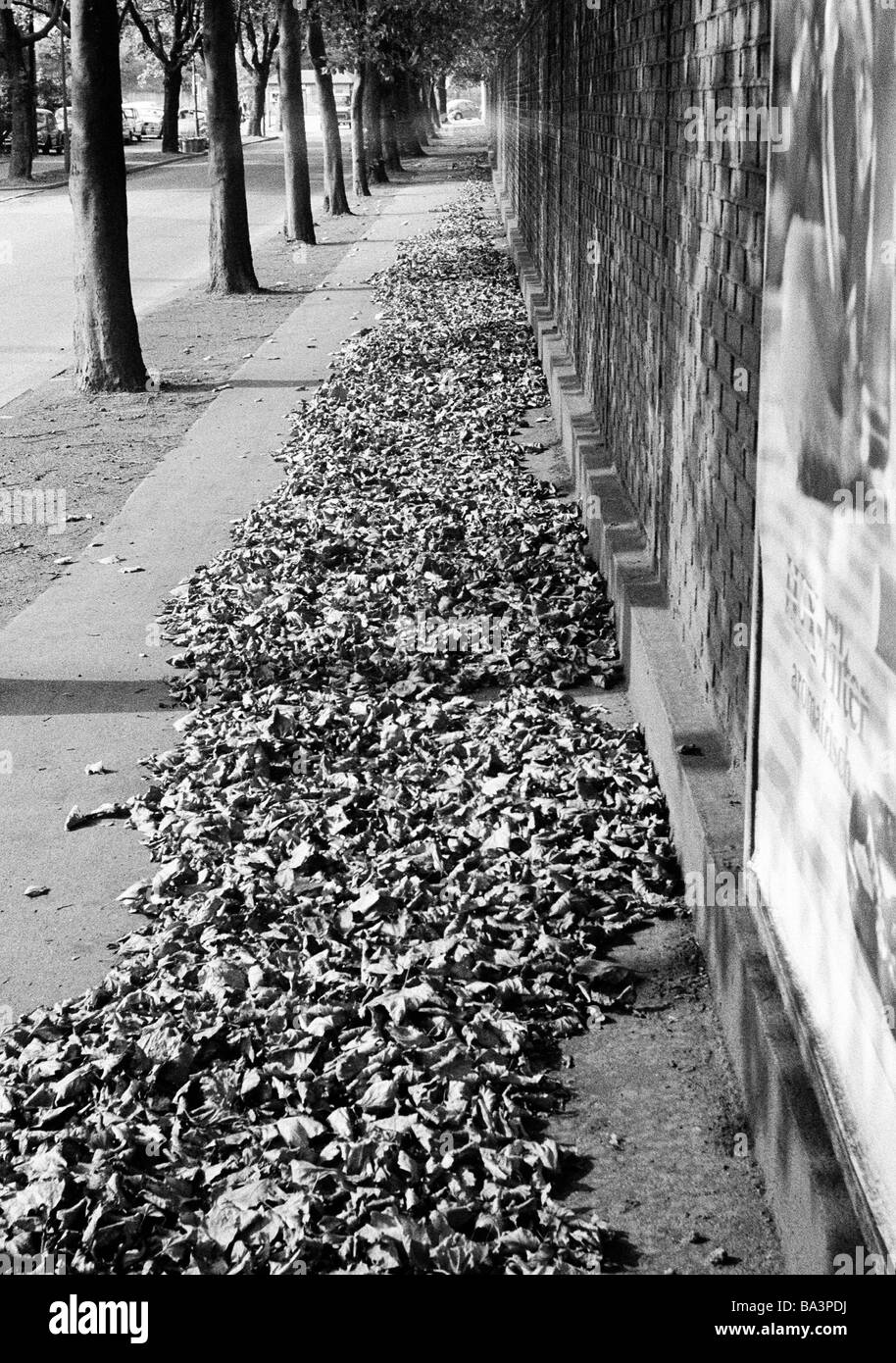 Negli anni settanta, foto in bianco e nero, autunno, foglie di autunno su un marciapiede, avenue, muro di mattoni, zona della Ruhr, Renania settentrionale-Vestfalia Foto Stock
