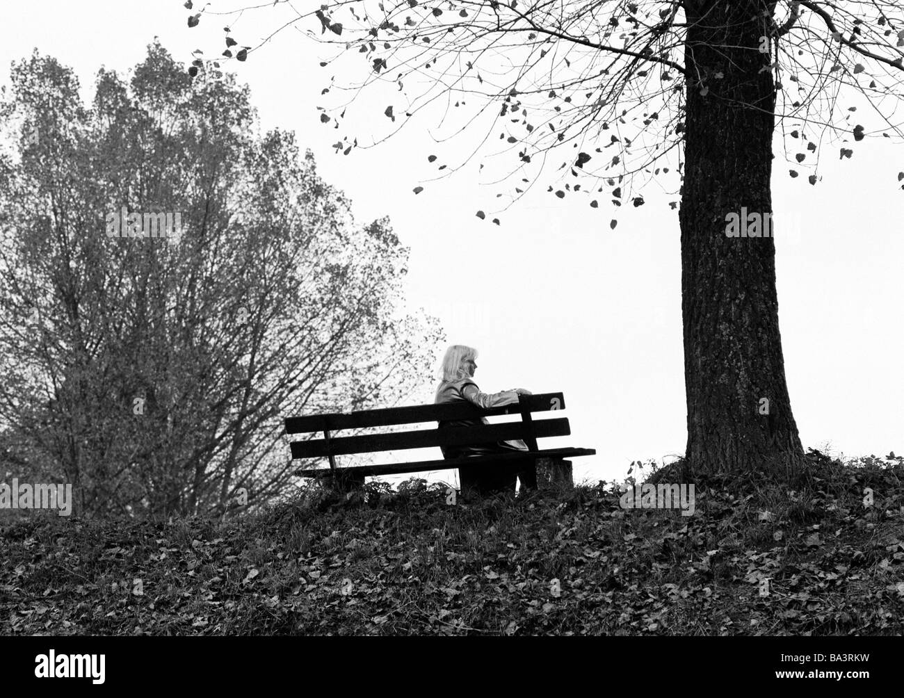 Ottanta, foto in bianco e nero, simbolico e solitudine, giovane donna seduta su una panchina sotto un albero autunnale, retroilluminazione, silhouette, di età compresa tra i 25 ed i 35 anni, Elisabeth Foto Stock
