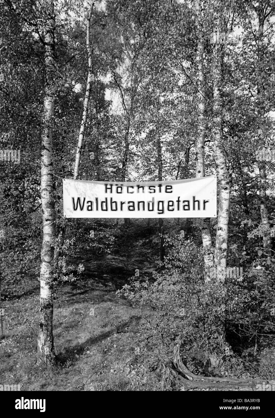 Negli anni settanta, foto in bianco e nero, silvicoltura, ecologia, avvertimento su un trasparente in corrispondenza di un bordo di una foresta contro il rischio di incendi boschivi Foto Stock