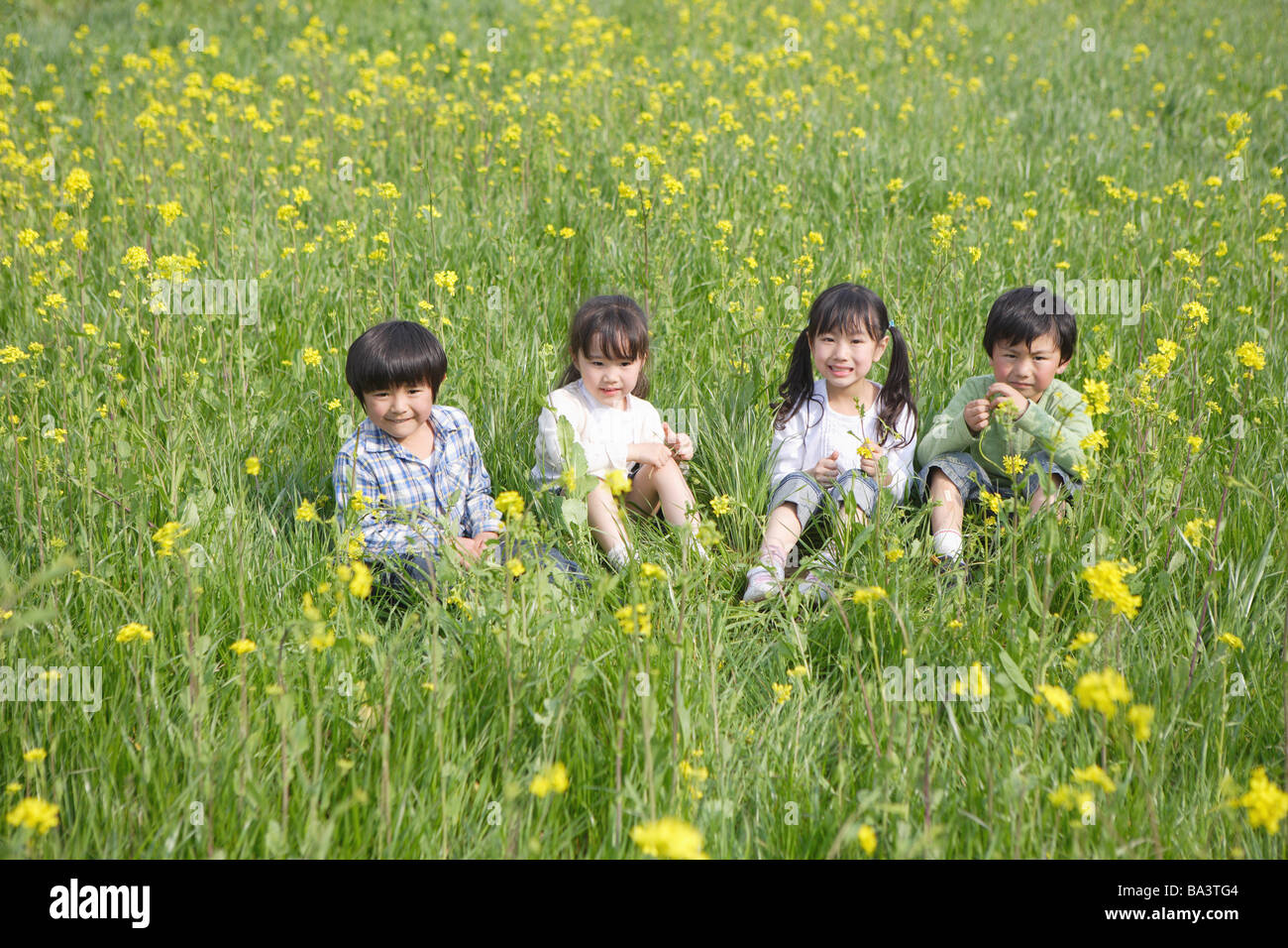 Bambini giapponesi seduta nel campo di senape Foto Stock