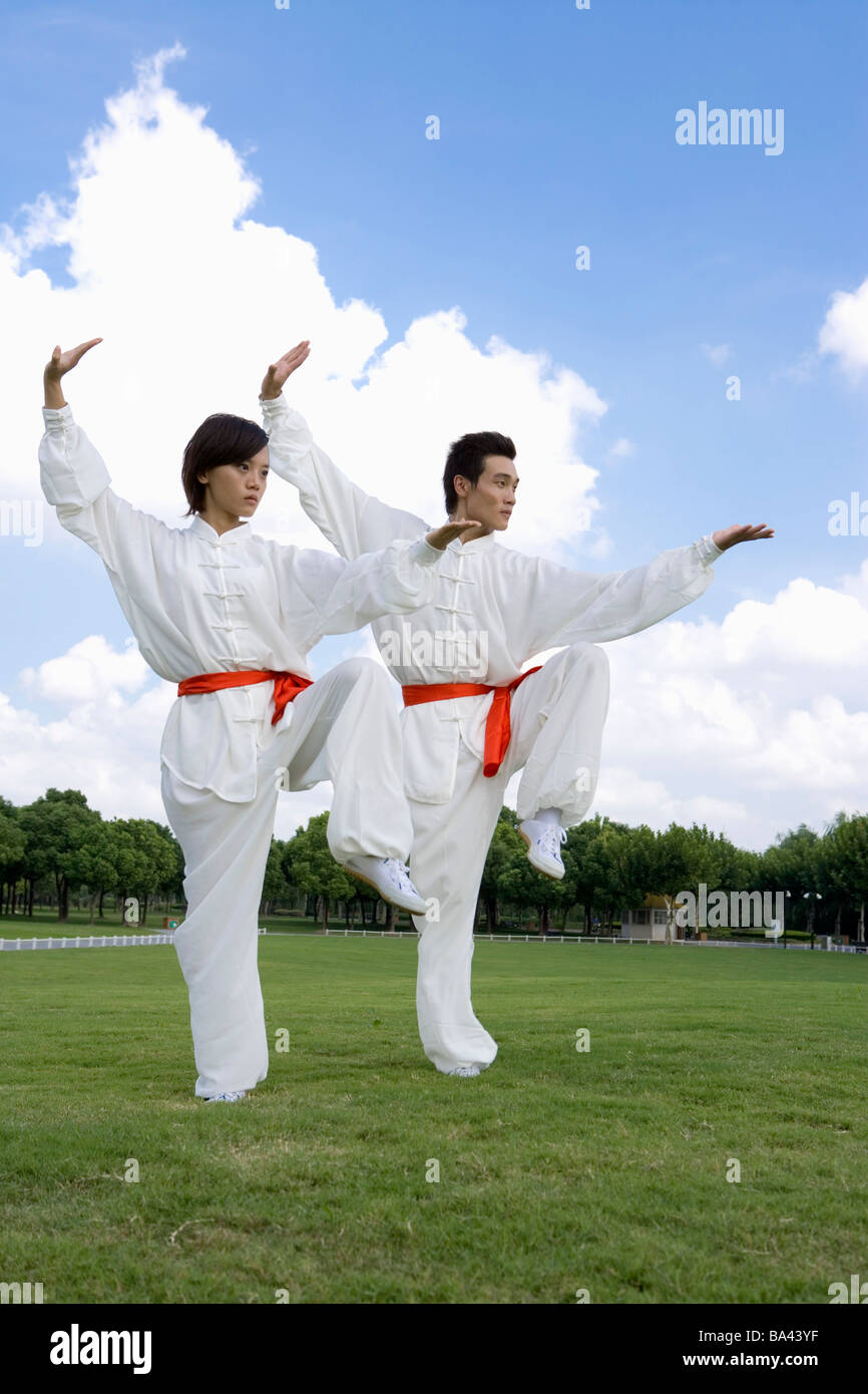 Giovane donna e uomo di fare mosse di kung fu su prato Foto Stock