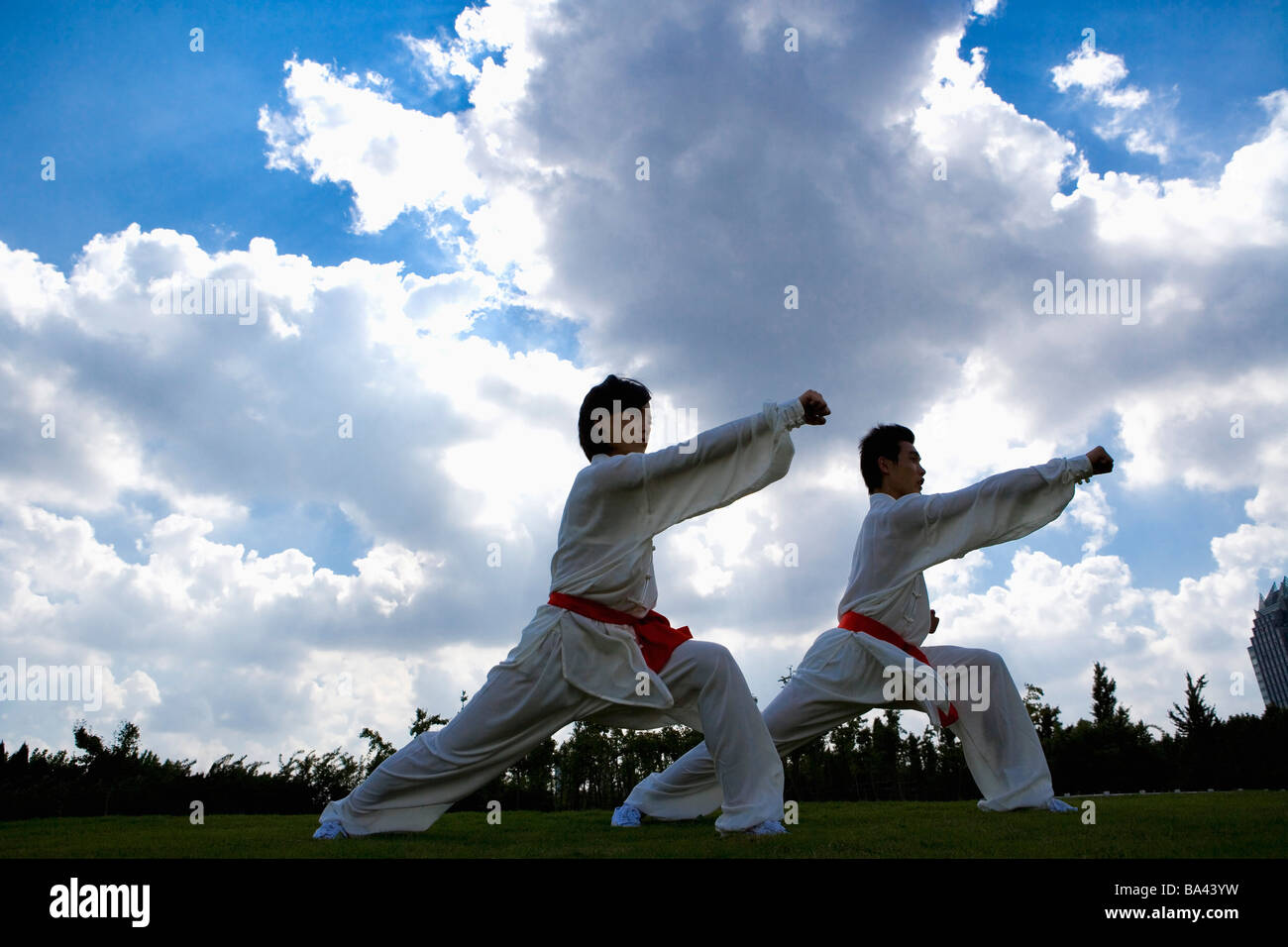 Giovane uomo e donna fare mosse di kung fu contro il cielo nuvoloso Foto Stock