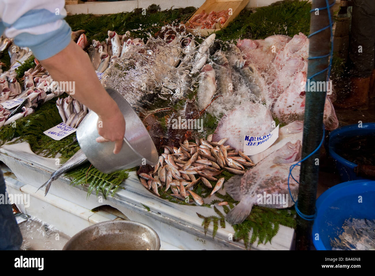 Il fishmarket Karaköy Istanbul Turchia Foto Stock