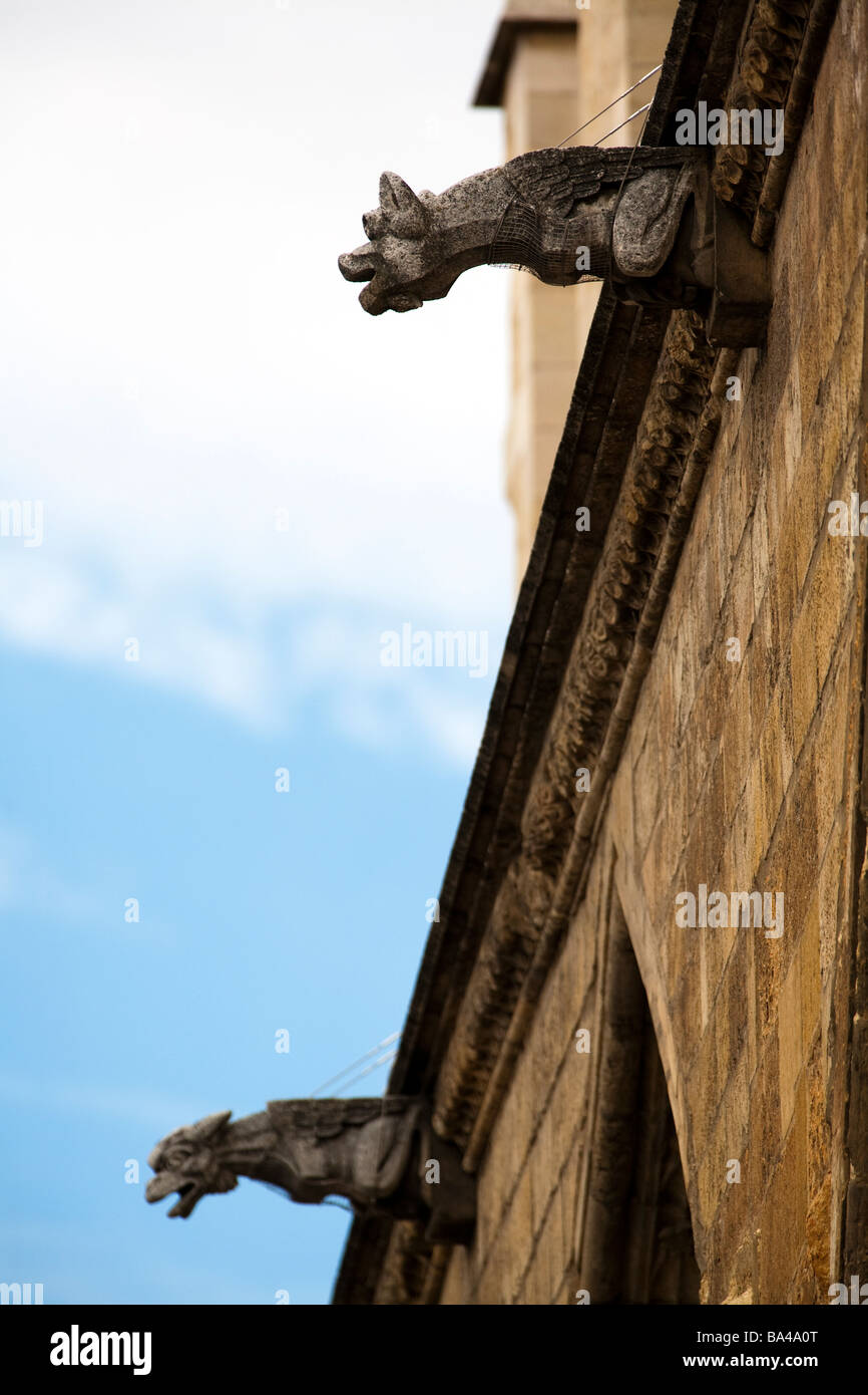 Gargoyle gotica Cattedrale della città di Leon comunità autonoma di Castilla y Leon Spagna settentrionale Foto Stock
