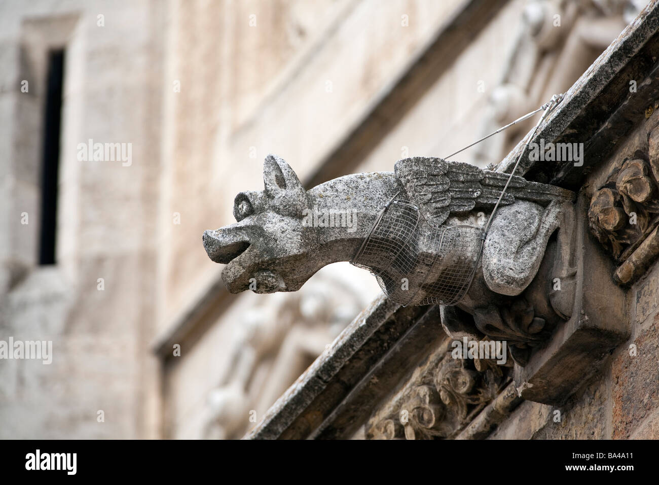 Gargoyle gotica Cattedrale della città di Leon comunità autonoma di Castilla y Leon Spagna settentrionale Foto Stock