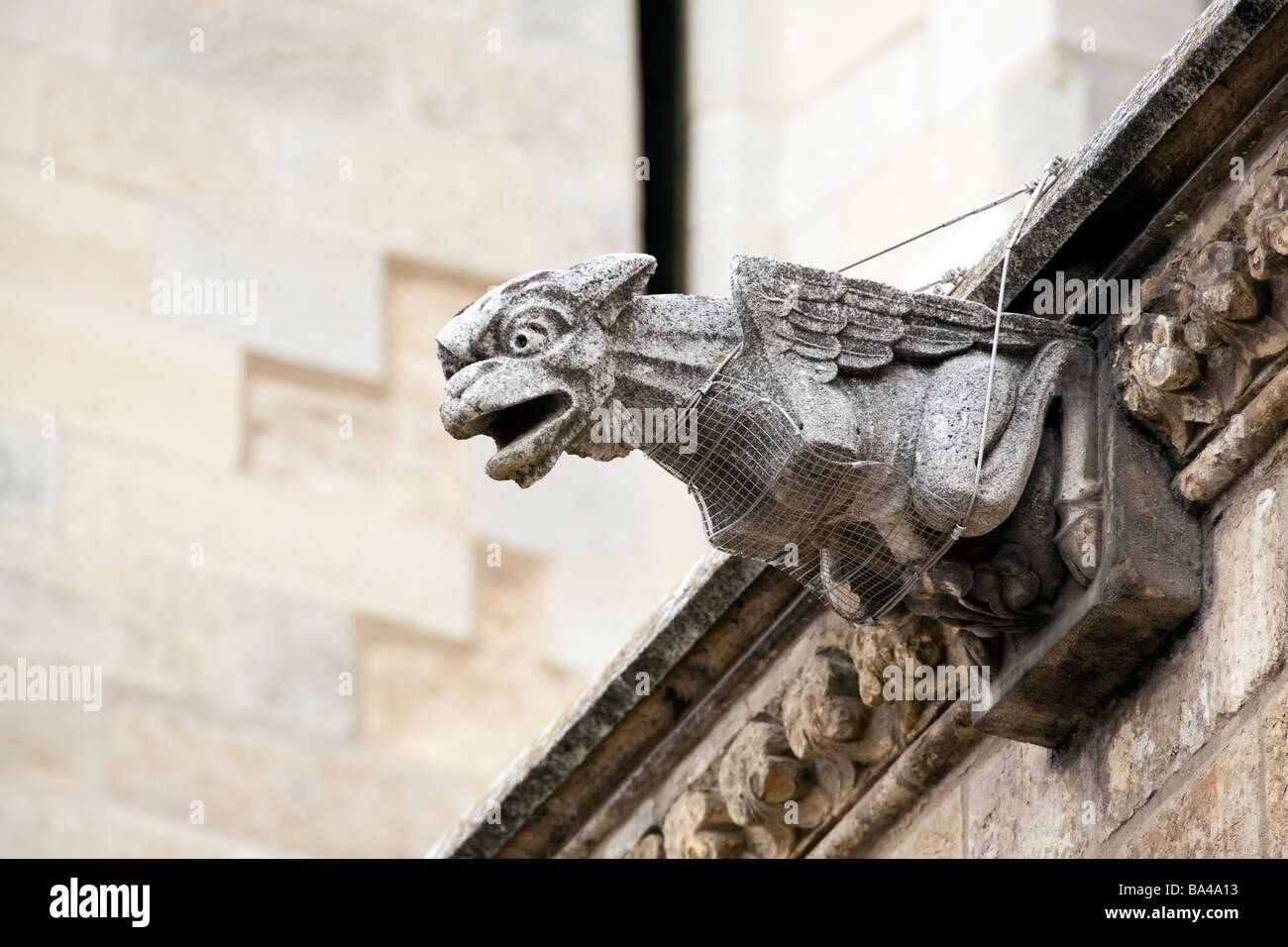 Gargoyle gotica Cattedrale della città di Leon comunità autonoma di Castilla y Leon Spagna settentrionale Foto Stock
