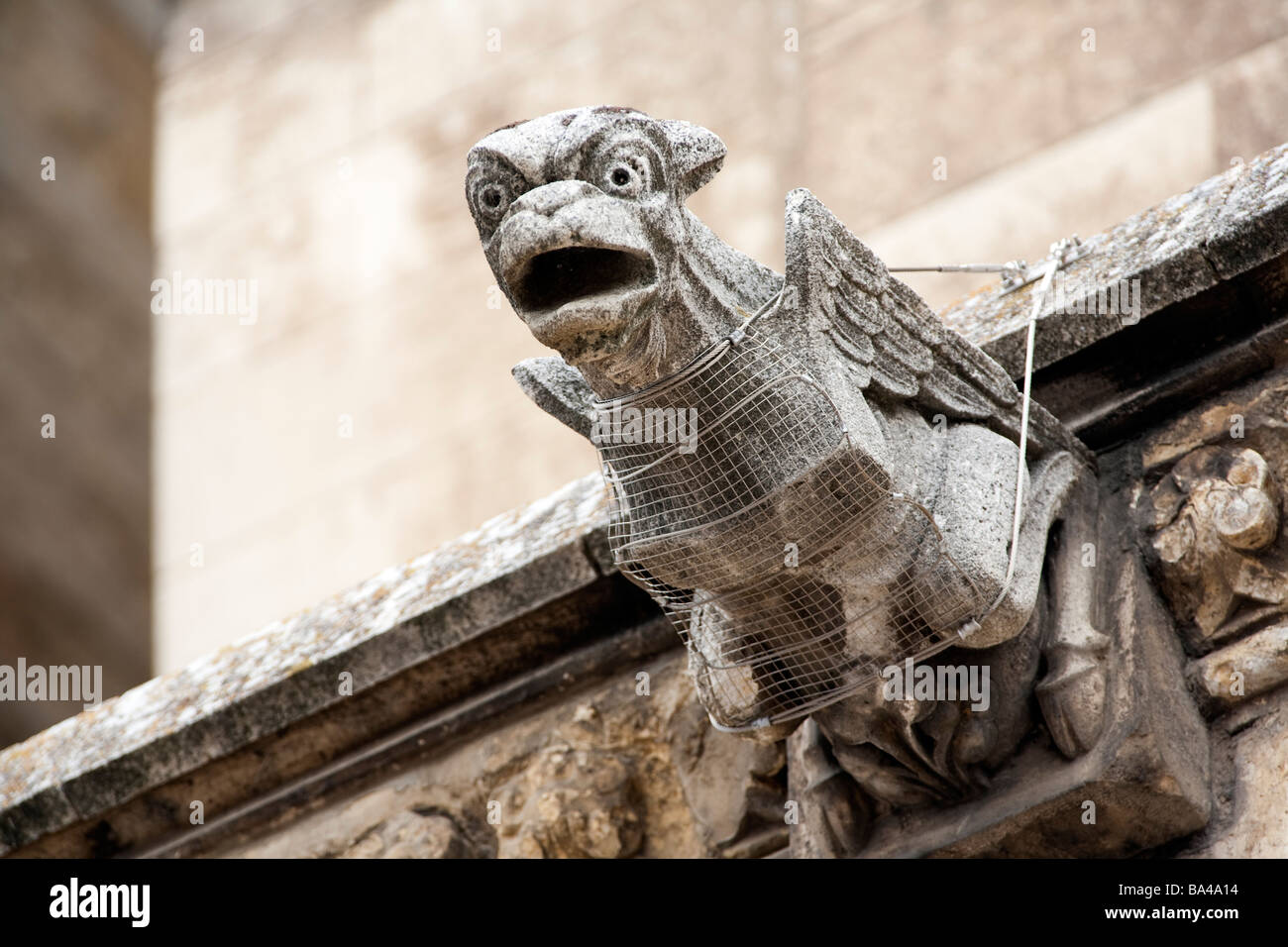Gargoyle gotica Cattedrale della città di Leon comunità autonoma di Castilla y Leon Spagna settentrionale Foto Stock