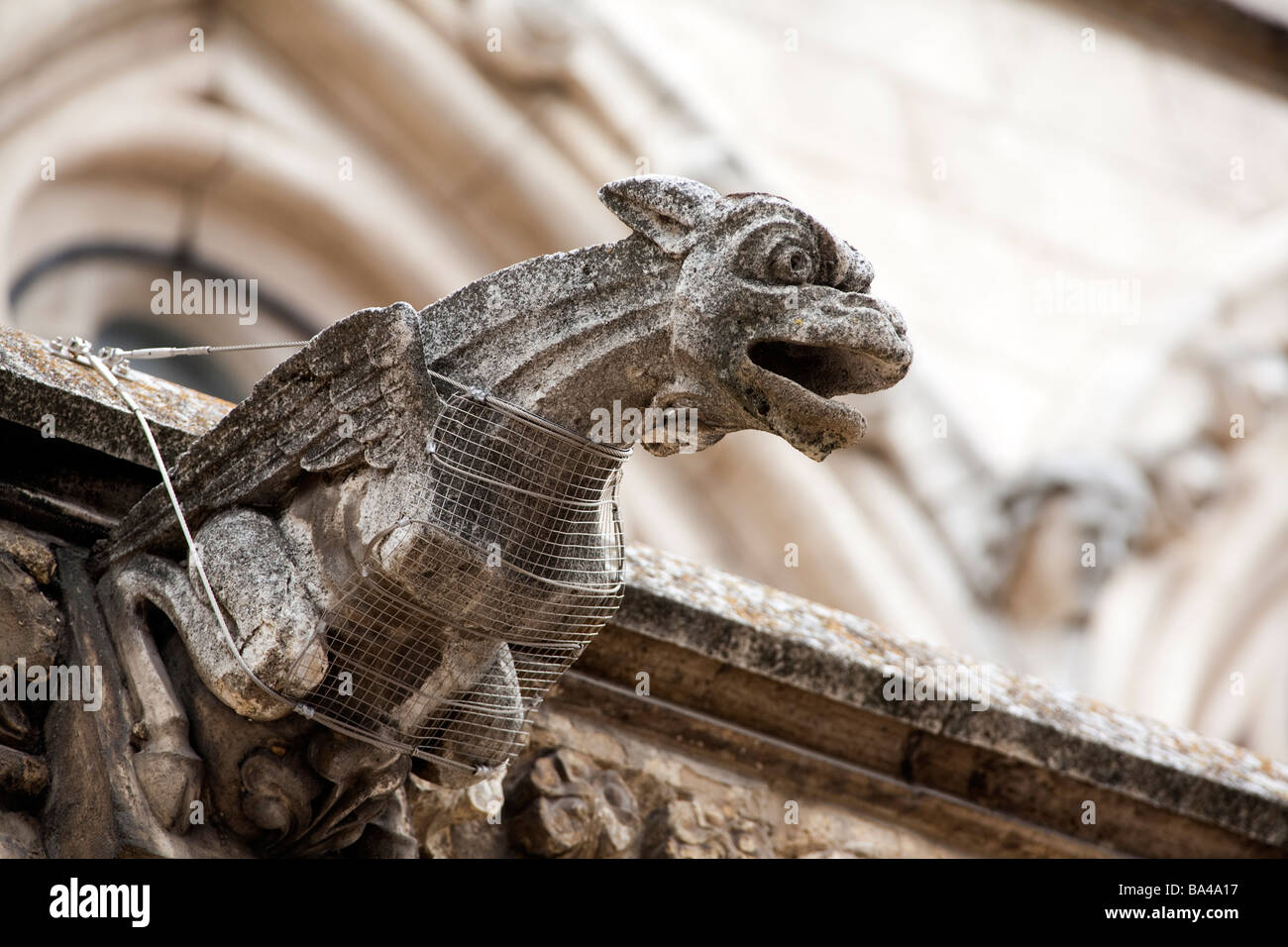 Gargoyle gotica Cattedrale della città di Leon comunità autonoma di Castilla y Leon Spagna settentrionale Foto Stock