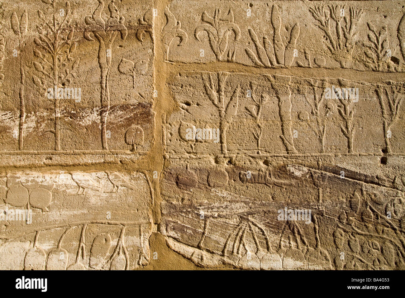 Rilievi dalle pareti del Giardino Botanico al Festival Hall, Akh Menou di Tuthmosis nel tempio di Karnak Luxor Egitto Foto Stock