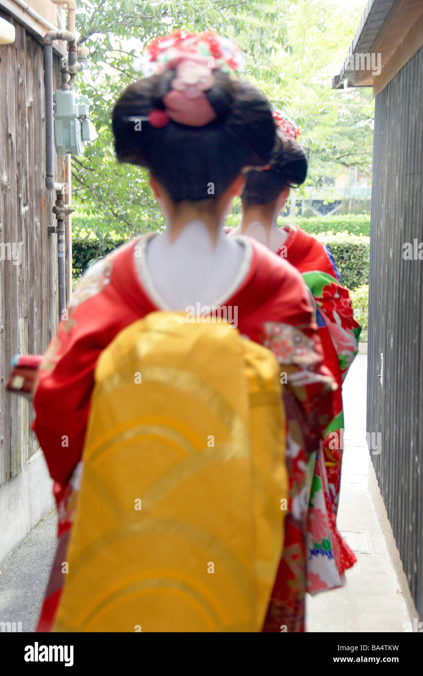 Geisha donne camminando sulla strada di Kyoto, Giappone Foto Stock