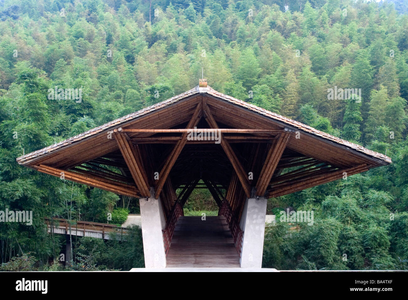 Ponte di bambù di Crosswaters ecolodge nel Guangdong in Cina è come un arte di installazione. Foto Stock