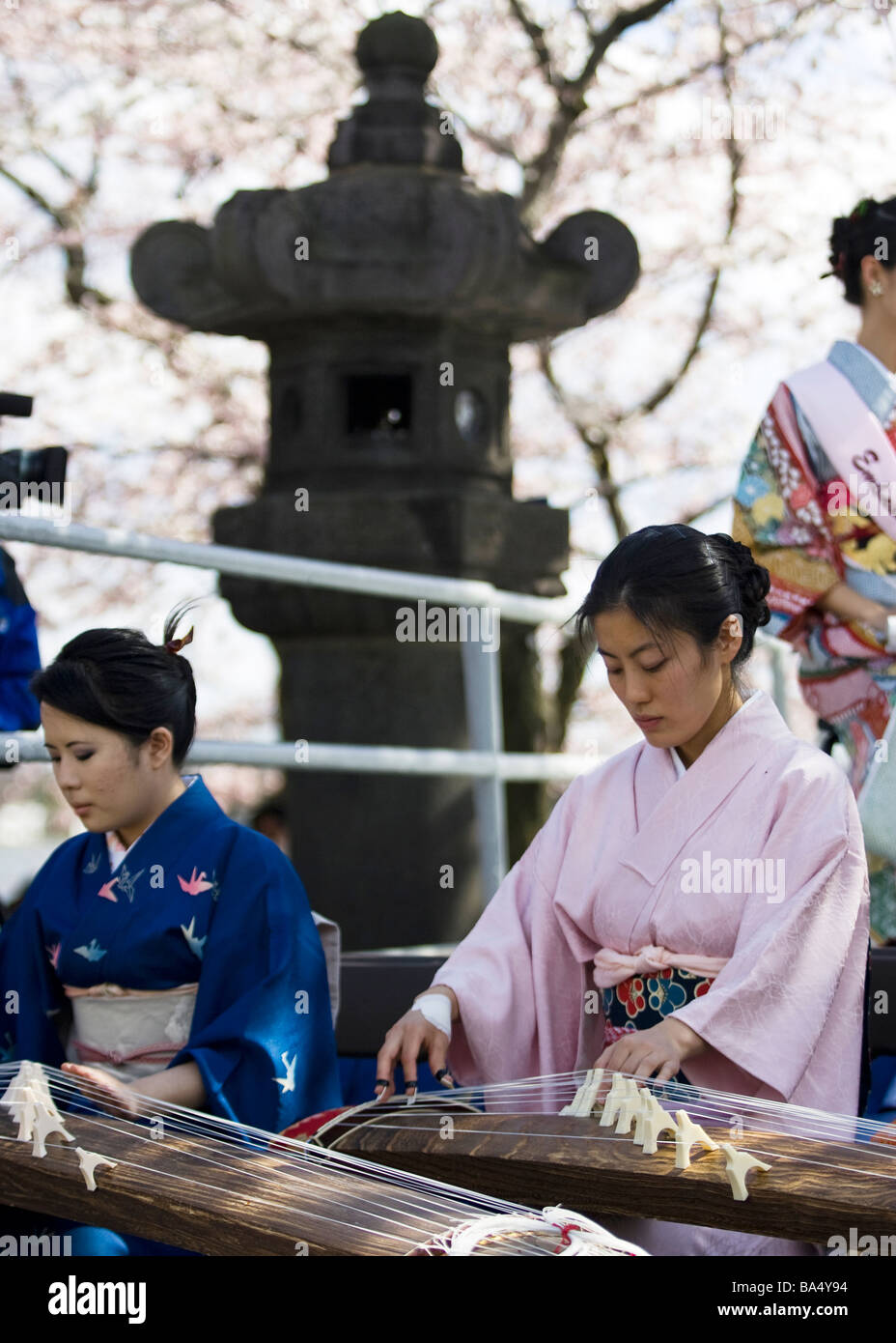 Le donne giapponesi giocando Koto Foto Stock