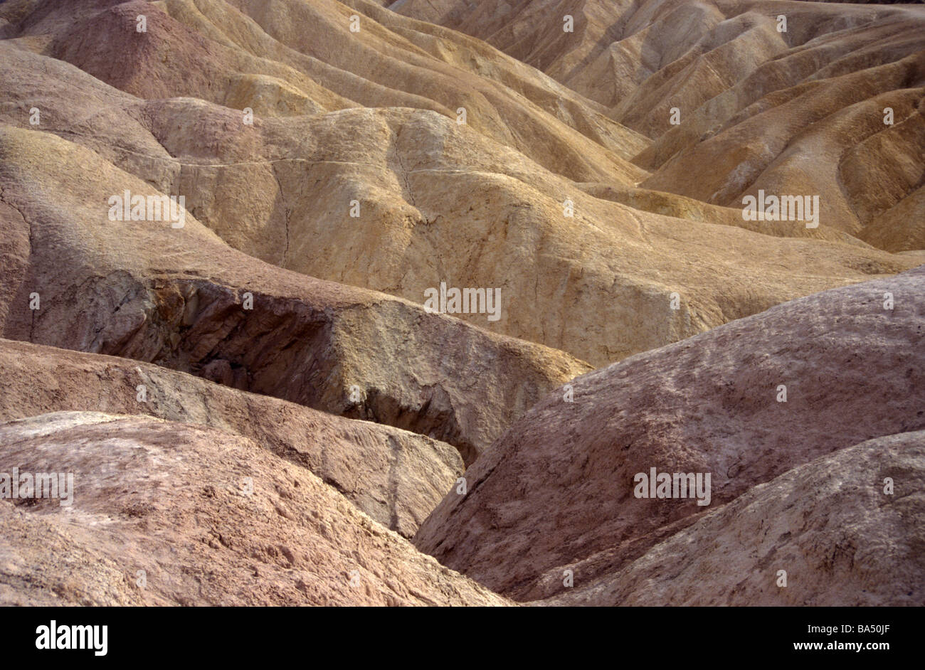 Asciugare arido deserto arido erosi calanchi ruscelli flashfloods incastro speroni di roccia Death Valley California USA Foto Stock