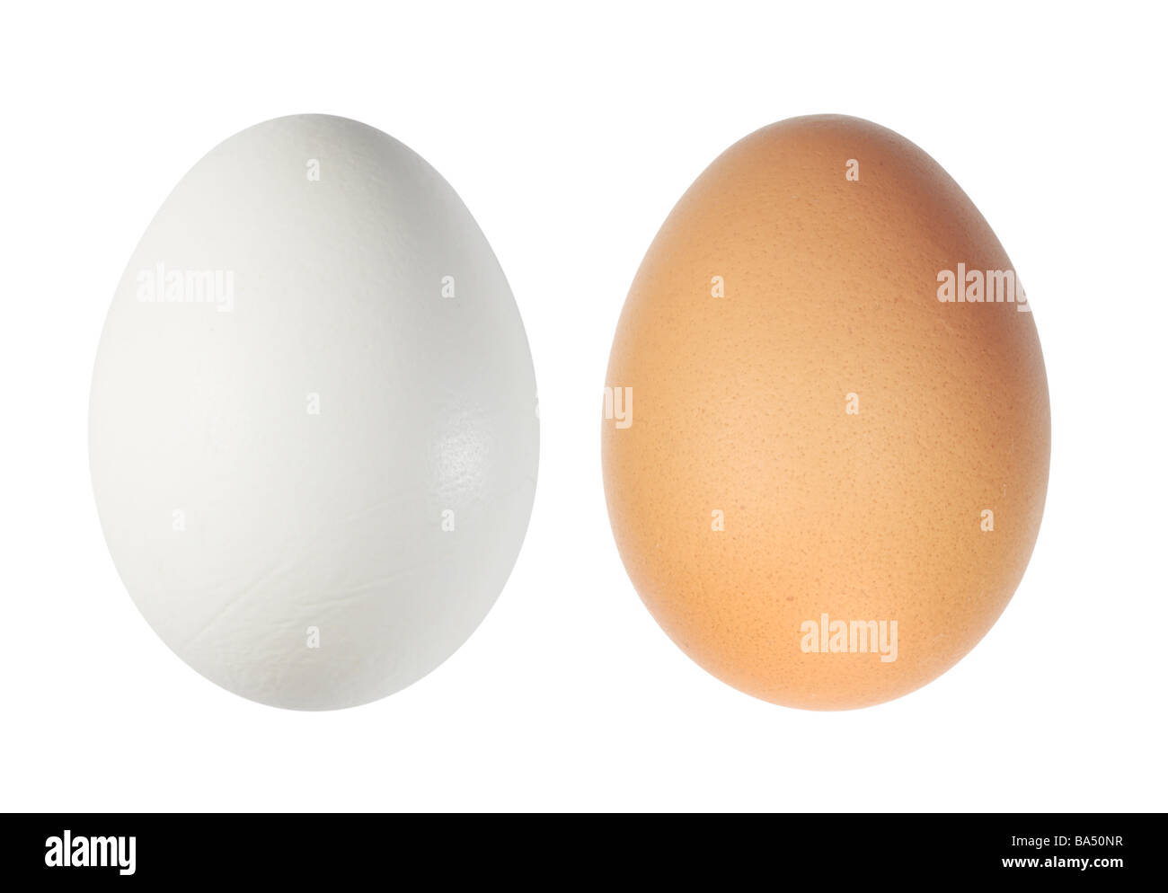 Bianco e Marrone di uova su bianco Foto Stock