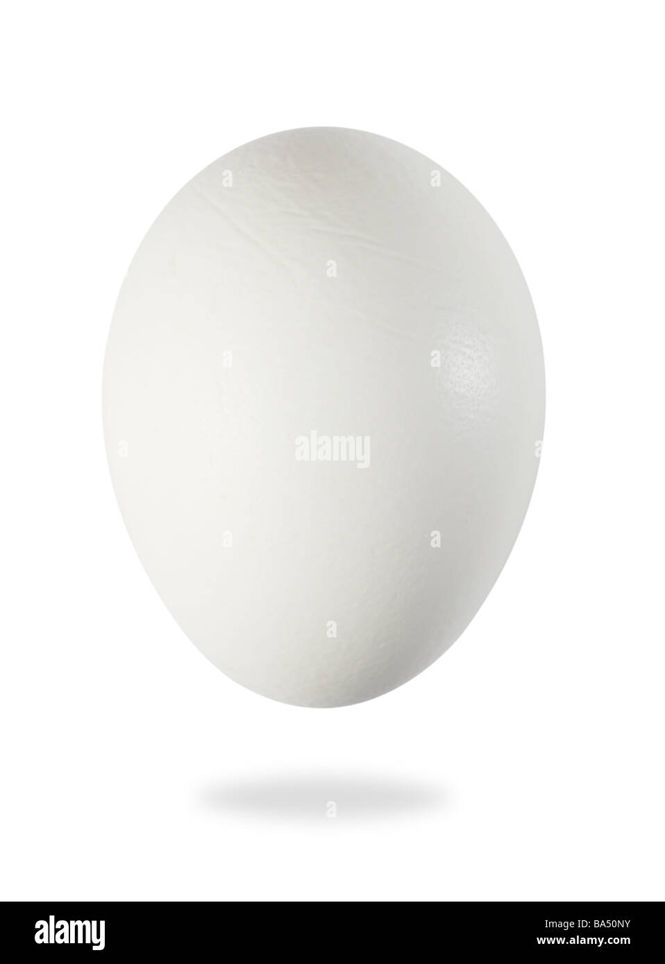 Uovo bianco su bianco Foto Stock