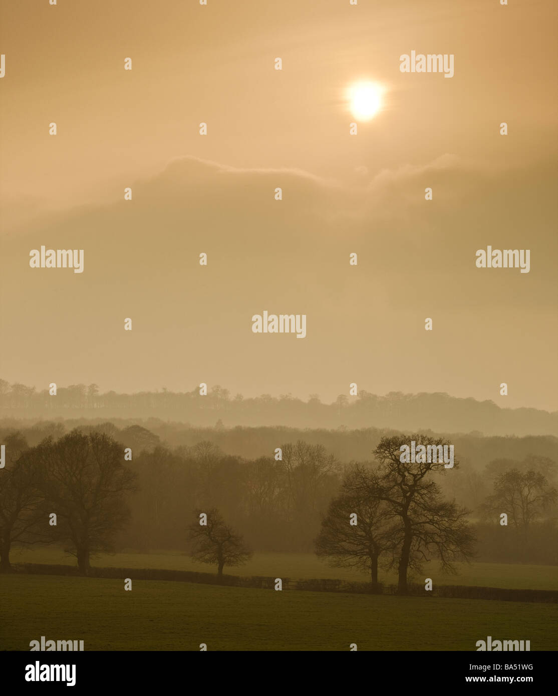 Vista su Staunton Harold boschi Leicestershire in tarda serata Foto Stock