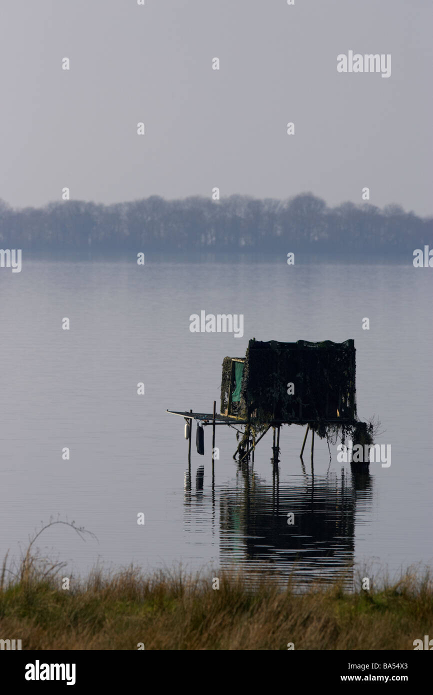 Nascondere le riprese su palafitte in acqua del Lough Neagh County Antrim Irlanda del Nord Foto Stock