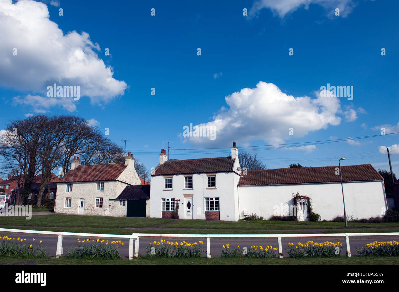 Il rendering del bianco cottages in Bempton,'East Riding',' dello Yorkshire, Inghilterra, "Gran Bretagna" "Regno Unito" Foto Stock