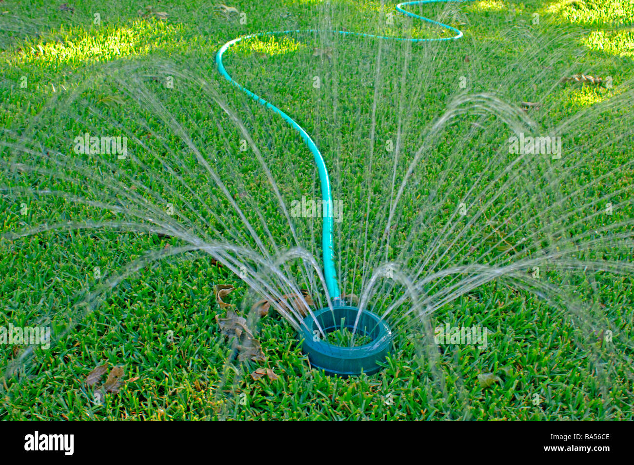 Sprinkler prato raffigurante il consumo di acqua che rappresenta il 30% del totale del consumo di acqua in molte città statunitensi Foto Stock