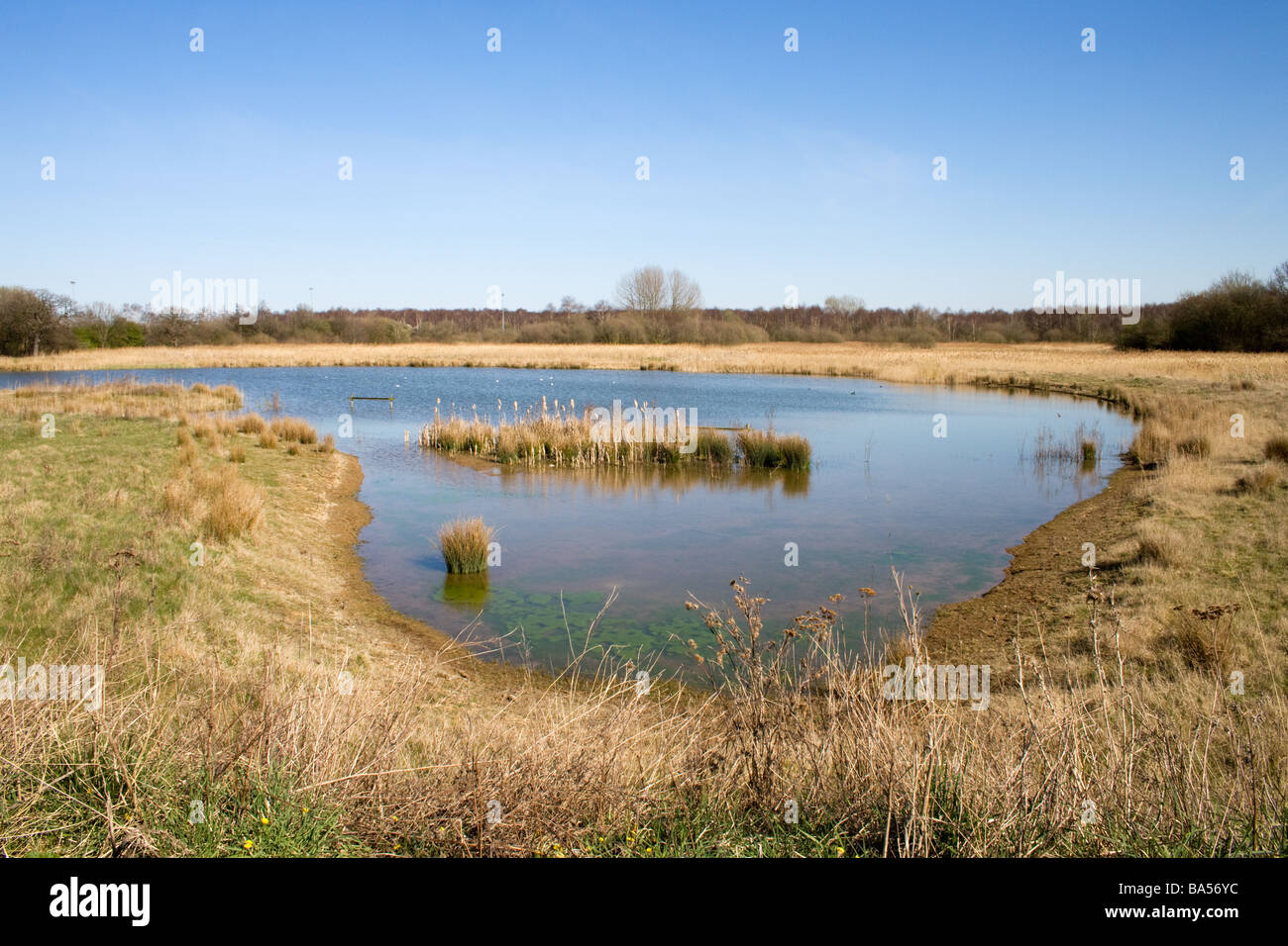 Vista sul lago di esca a Potteric Carr Riserva Naturale Foto Stock