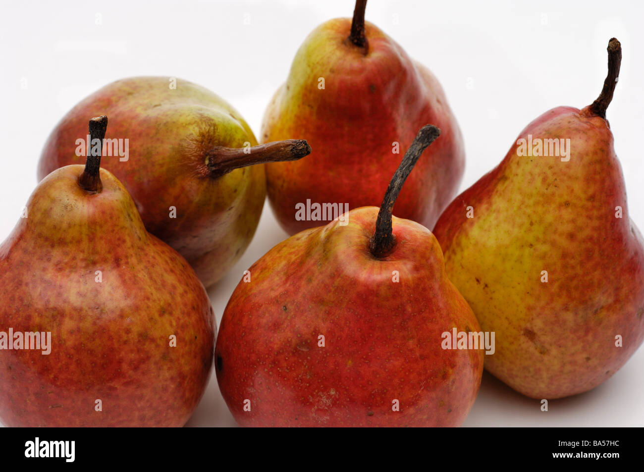 Sensazione di red Bartlett pere Foto Stock