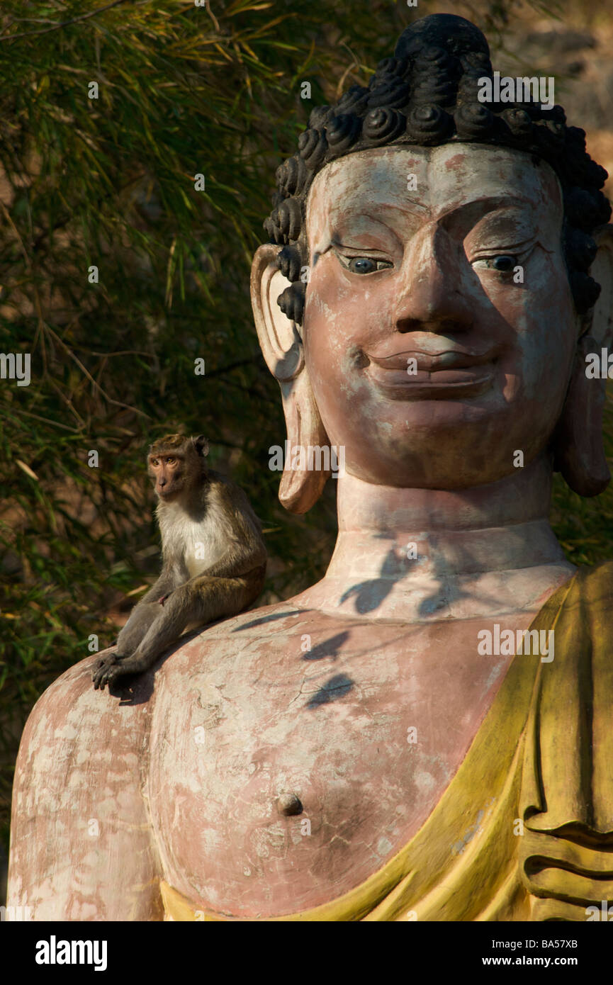 Una statua del Buddha al Wat Khao Tham Talu con una lunga coda Macaque Macaca fascicularis poggiante sulla statua Foto Stock