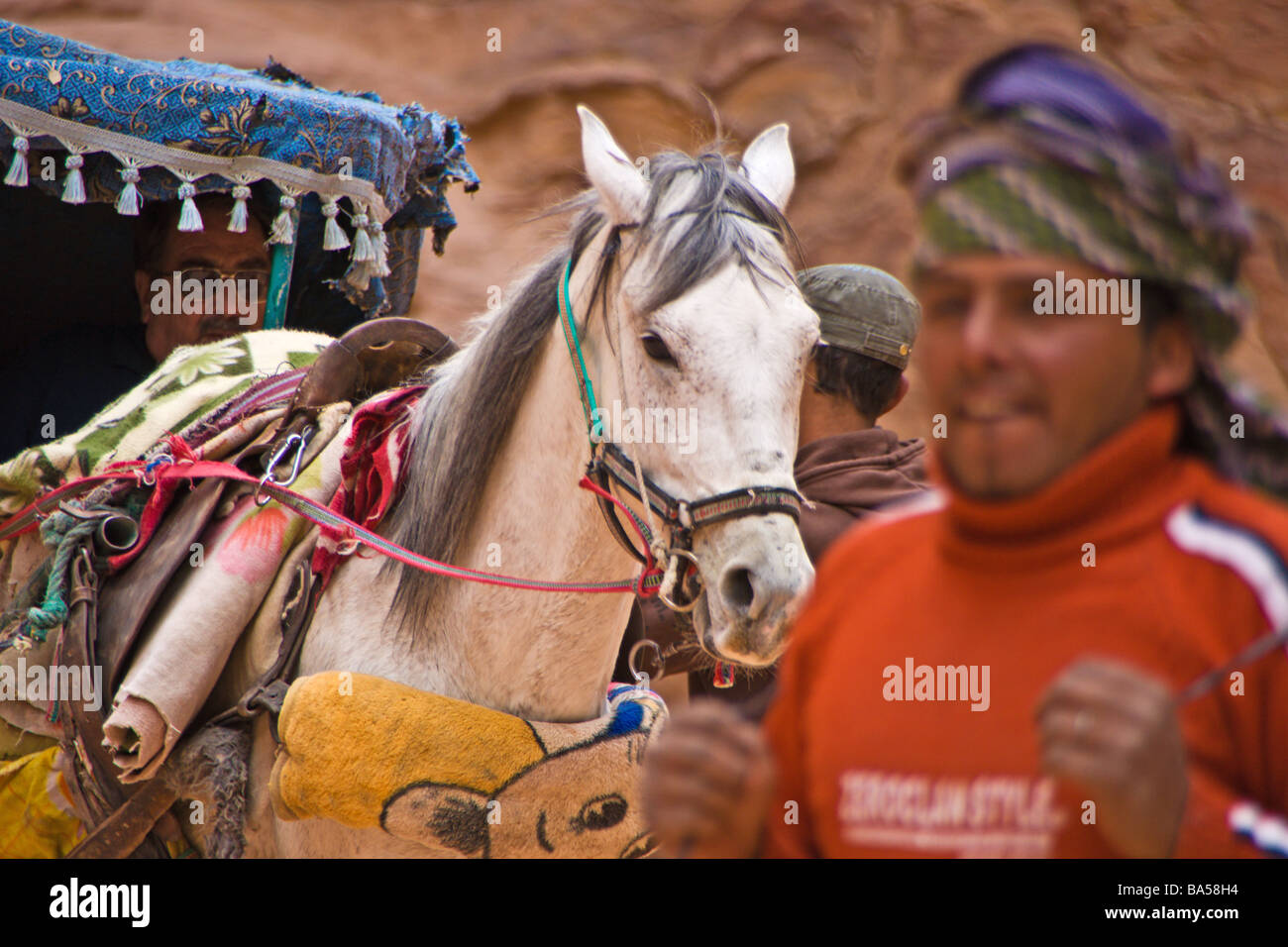 Cavallo e Carrozza, con operatore Foto Stock