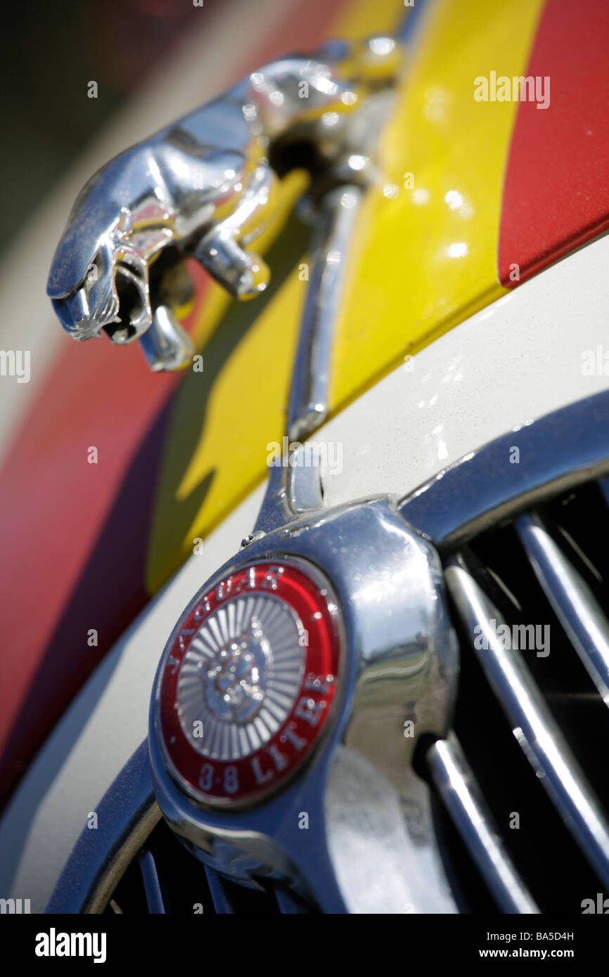 Cofano del motore di un auto Jaguar Foto Stock
