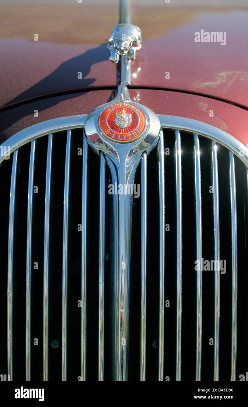 Cofano del motore di un auto Jaguar Foto Stock