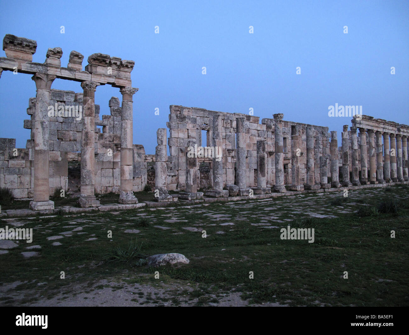 Le rovine romane di Apamea Siria Ruinas romanas de Afamia SIRIA Apameia Foto Stock