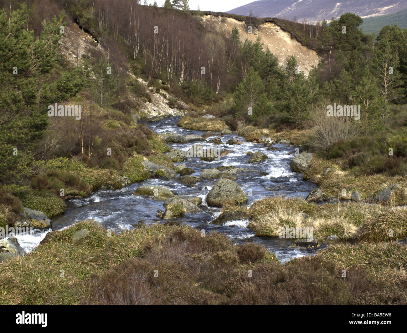 Allt Mor fiume Monti Cairngorm Highlands della Scozia Foto Stock