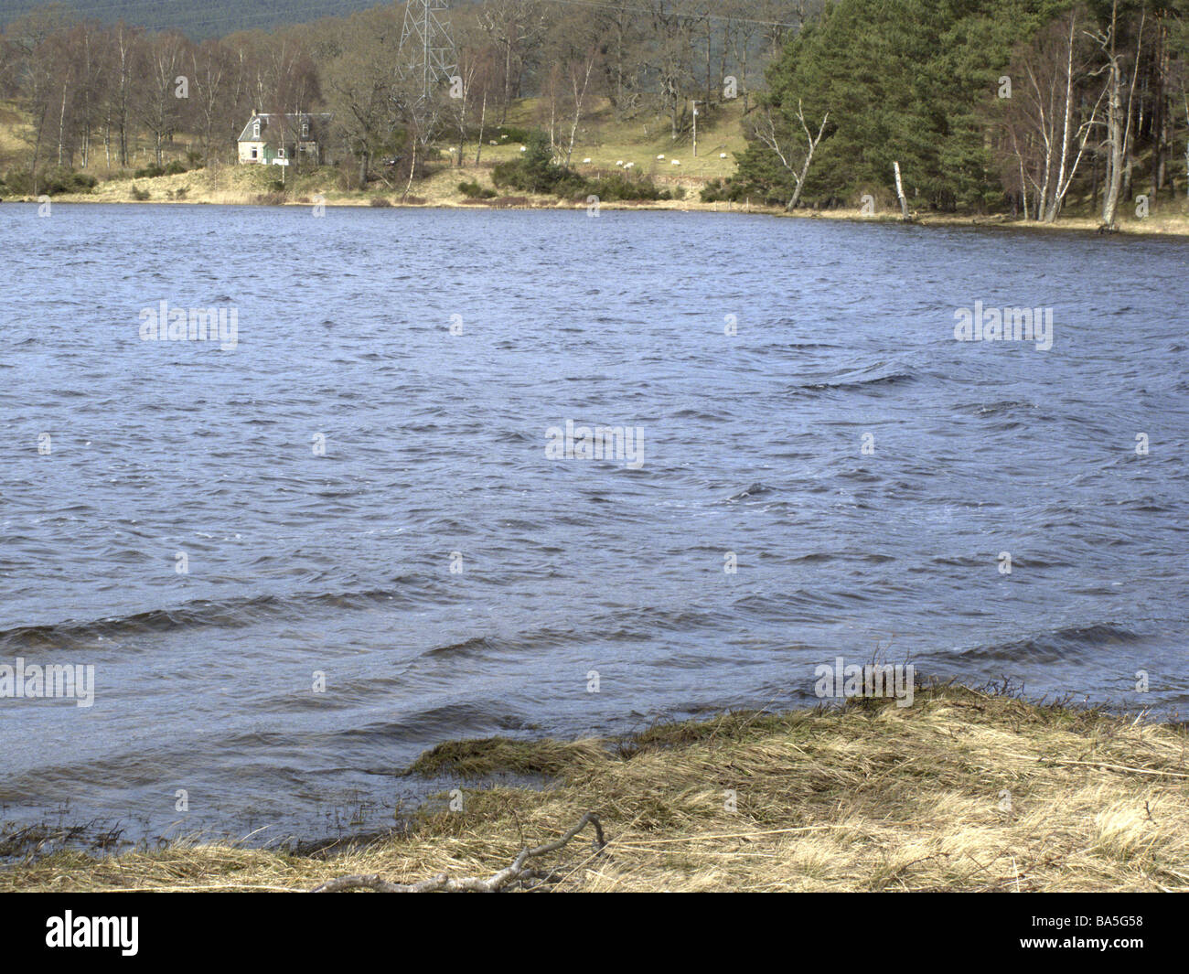 Pityoulish loch vicino a Grafton Highlands della Scozia Foto Stock