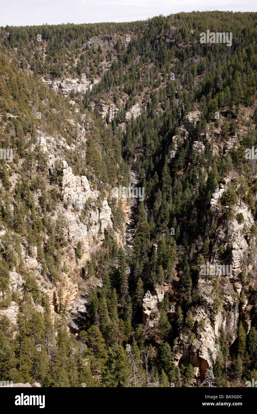 Vista di Oak Creek Canyon dall'area di visualizzazione sull'autostrada 89a entro la Coconino National Forest vicino a Sedona in Arizona usa Foto Stock