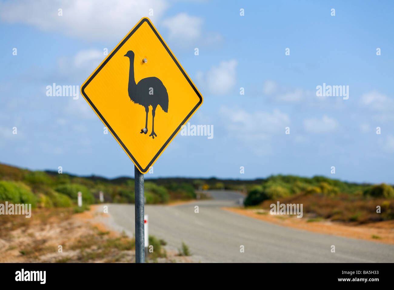 L'Uem attraversando cartello stradale nel Nambung National Park. Cervantes, Australia occidentale, Australia Foto Stock