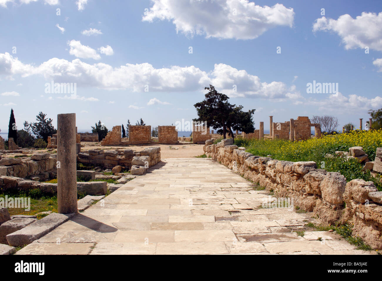 La centrale strada asfaltata che conduce al tempio di Apollo entro il santuario di Apollo. KOURION. Cipro. Foto Stock