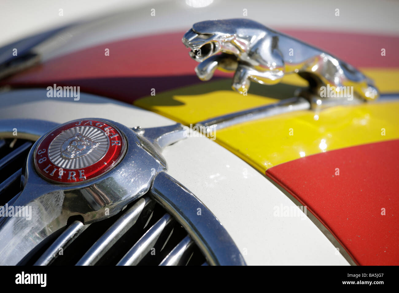 Cofano del motore di un auto Jaguar Foto Stock