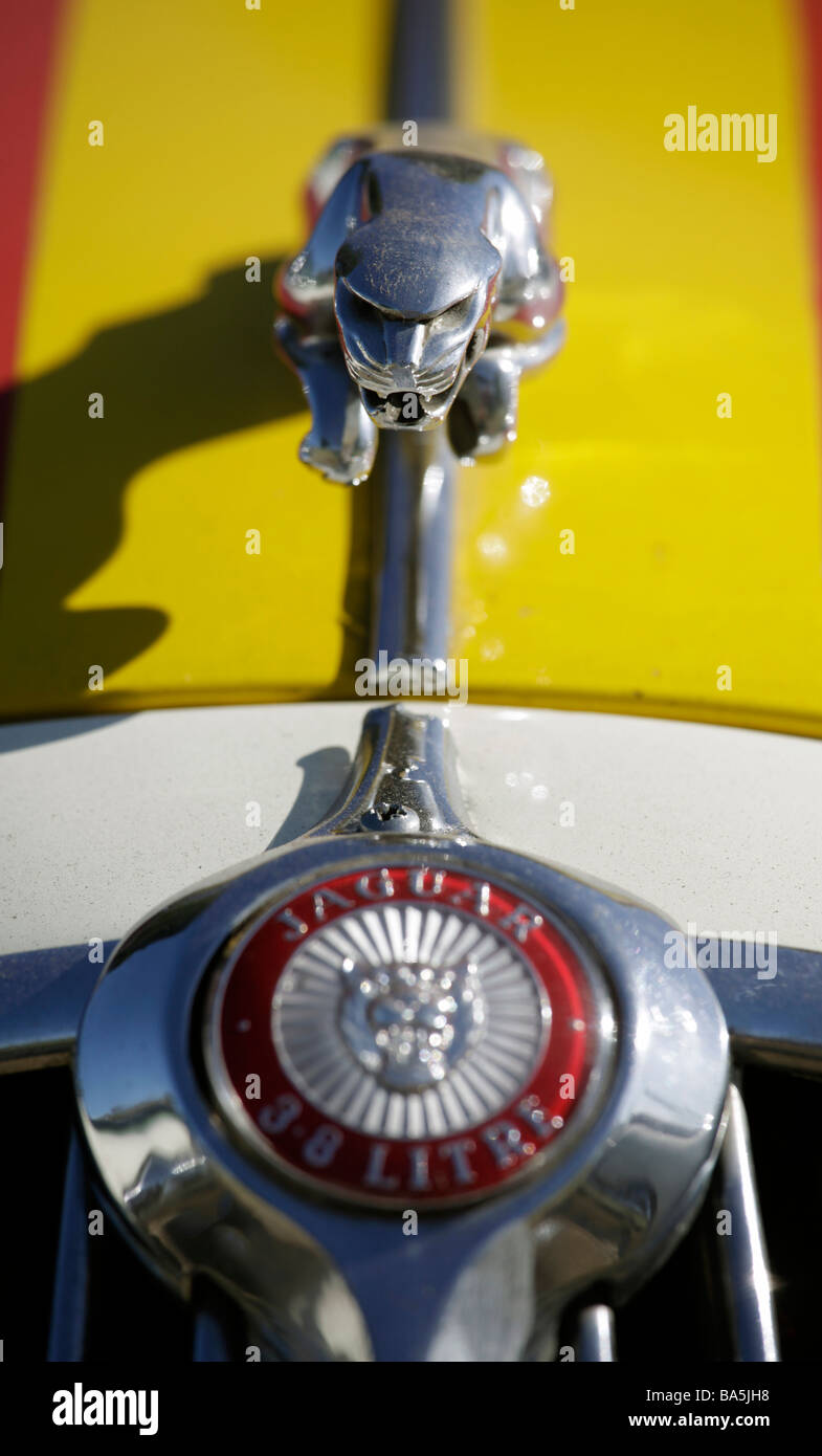 Cofano del motore di un auto Jaguar Foto Stock