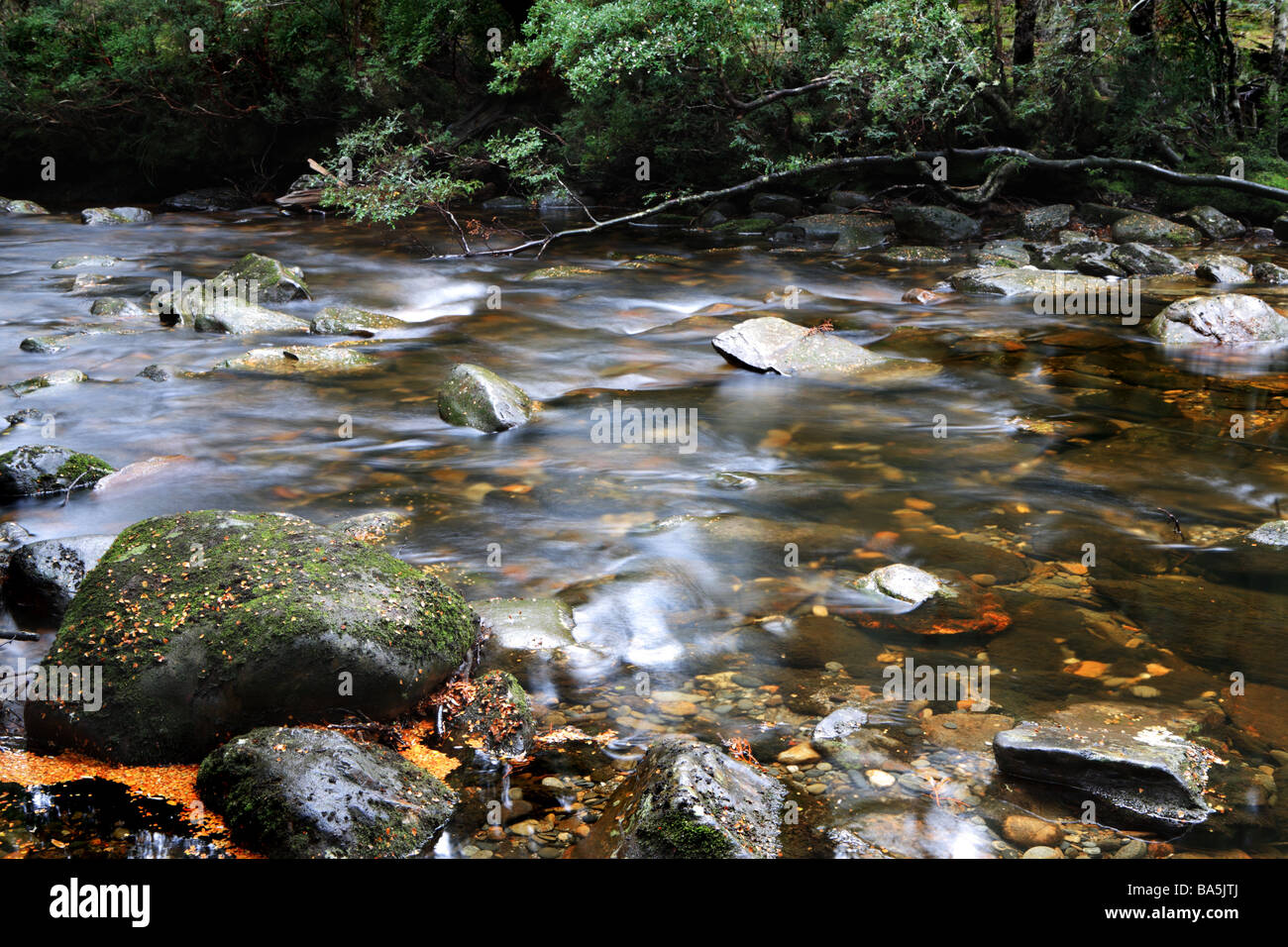 Flusso incontaminate in Cradle Mountain, Tasmania, National Park, Australia Foto Stock