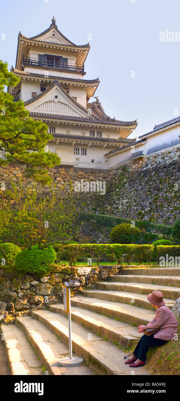 Panorama del castello di Kōchi - Kochi, Giappone Foto Stock