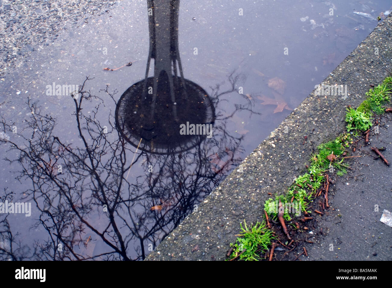 Una riflessione di lo Space Needle di Seattle in acqua dal marciapiede Foto Stock