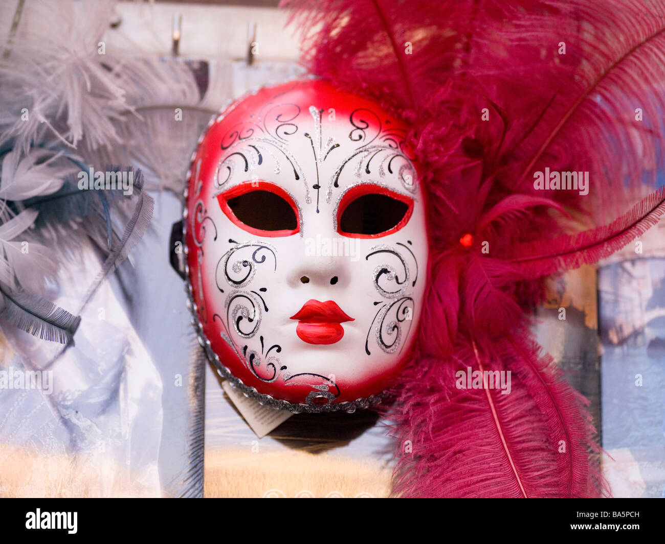 Selvaggina di penna maschera facciale Foto Stock